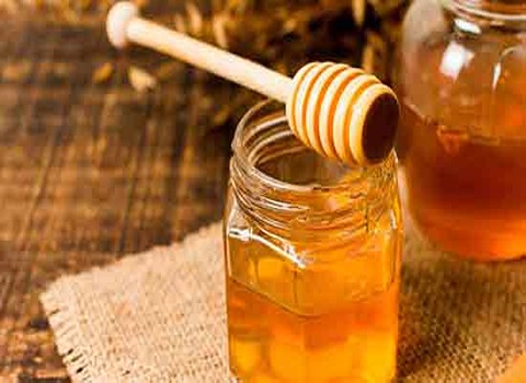 قیمت عمده عسل آویشن گون