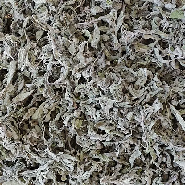 خرید پونه کوهی خشک شده + قیمت استثنایی