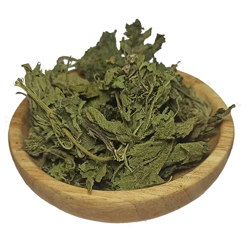 خرید عمده گزنه خشک با قیمت ویژه + فواید درمانی