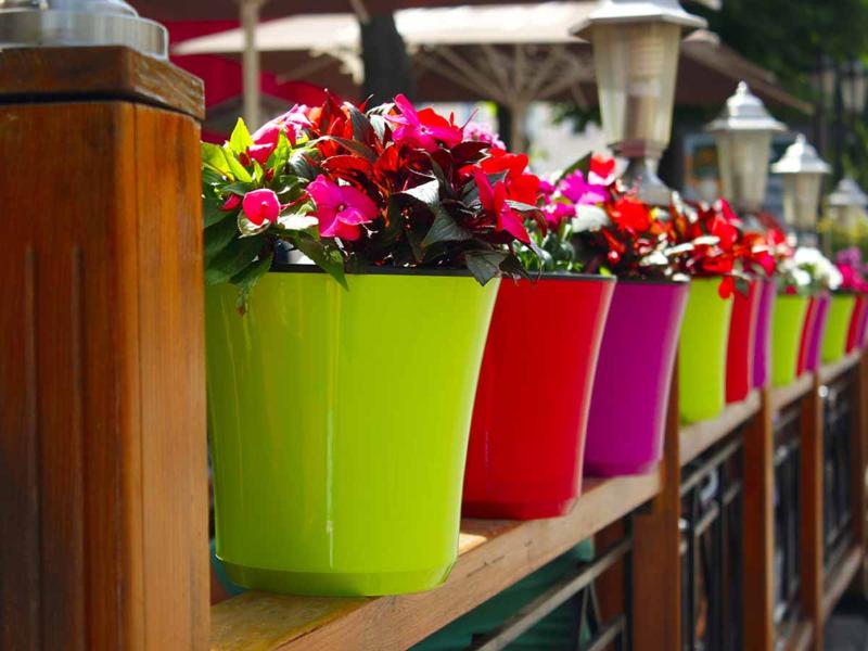 خرید گسترده گلدان های پلاستیکی بزرگ