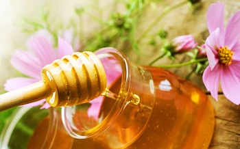 عسل کندو + قیمت عمده