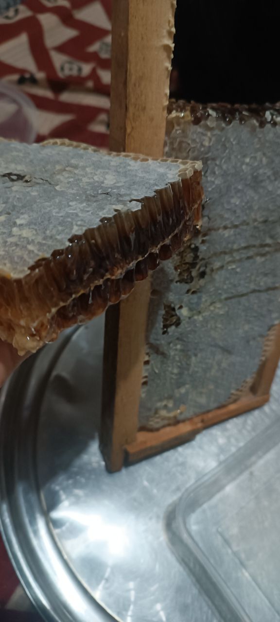 عسل طبیعی دشت مغان و اردبیل