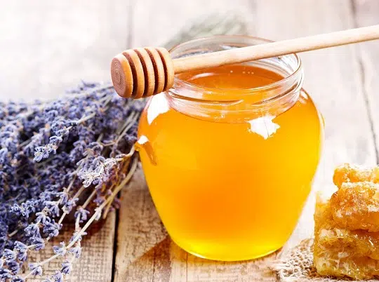 عسل اسطوخودوس لایمن + فروش عمده
