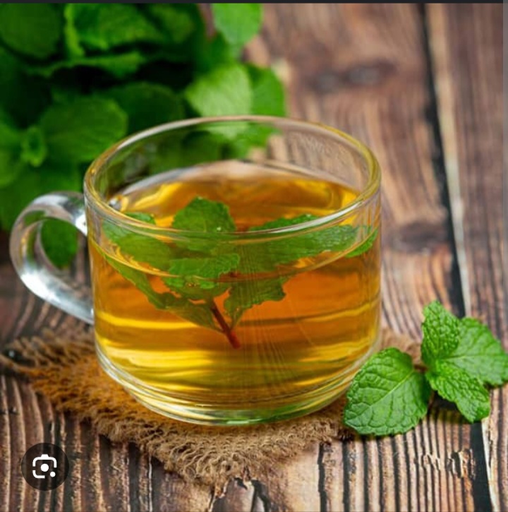 قیمت خرید چای سبز + فروش عمده