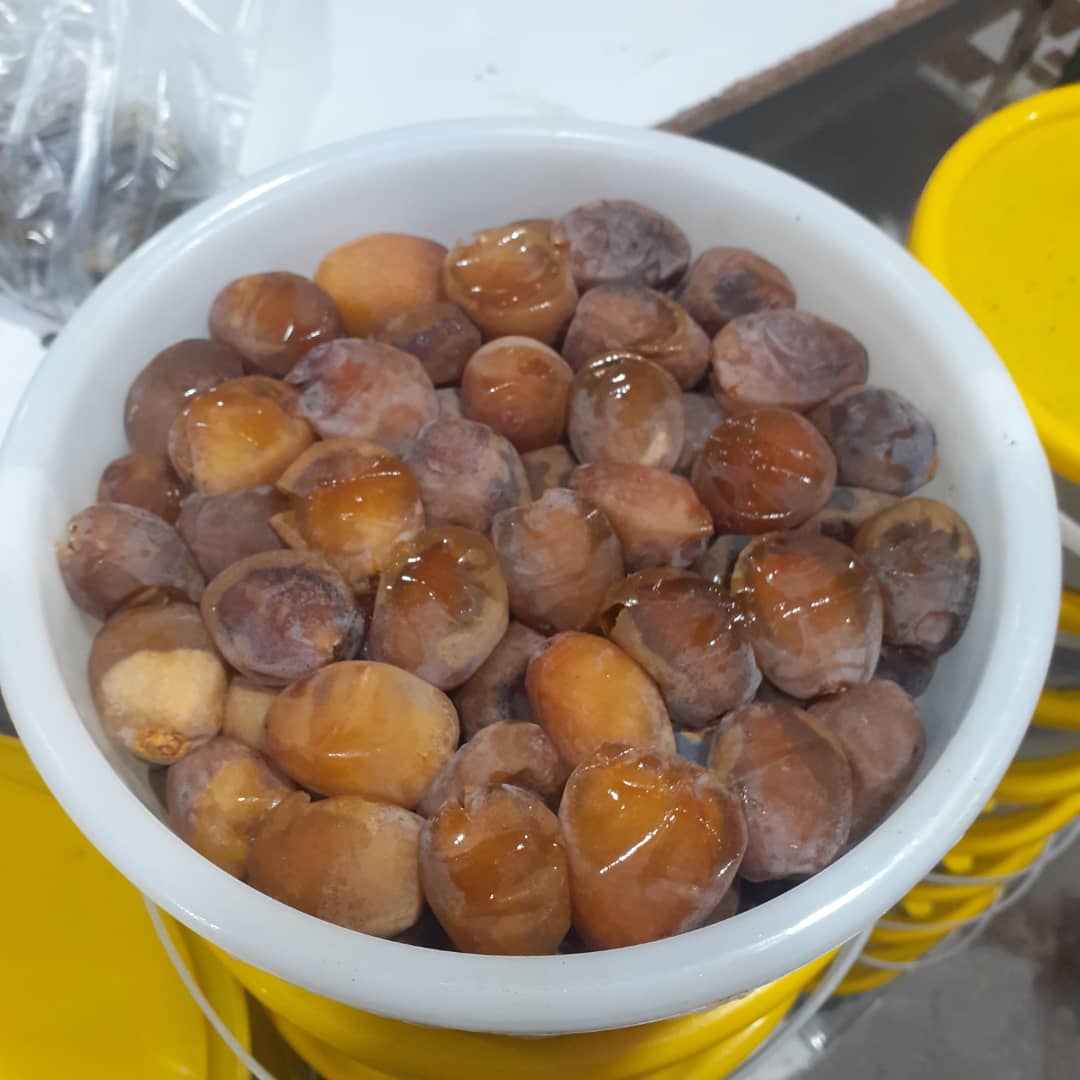 قیمت و خرید خرما عسلی درجه یک