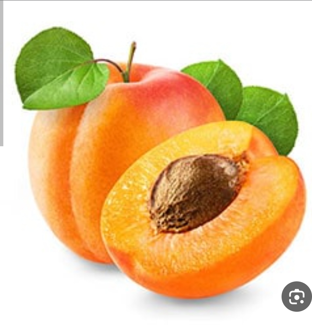 خرید زردالوی صادراتی