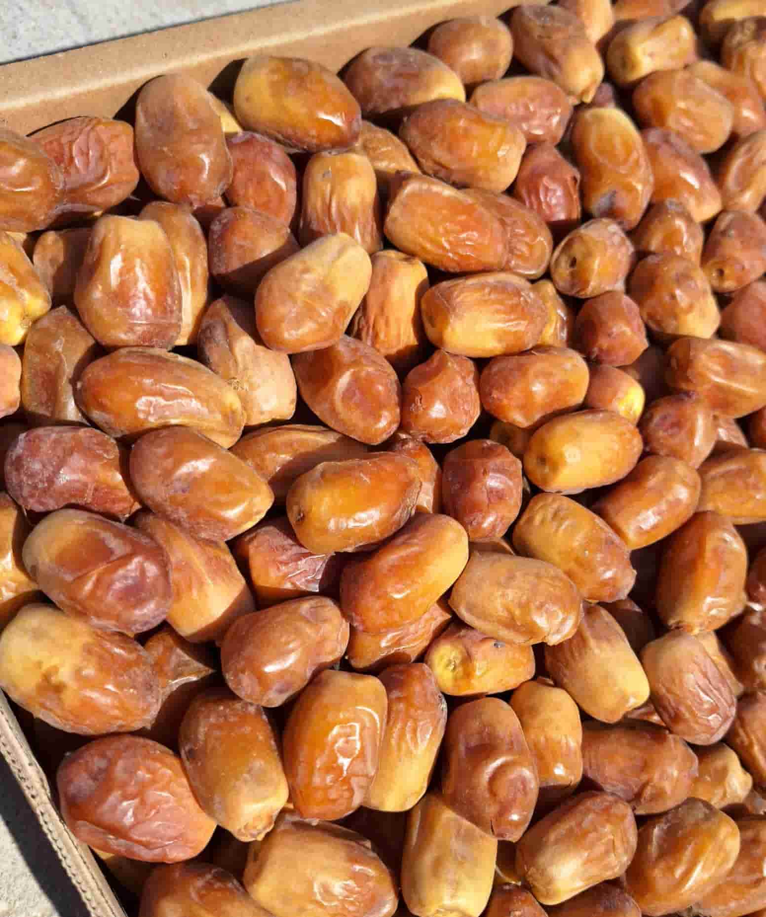 قیمت خرما زاهدی درجه یک