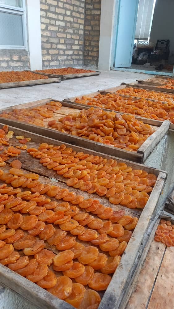 برگ زردآلو قیمت