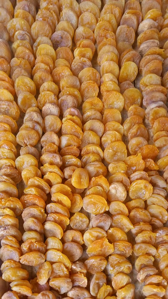 برگ زردآلو نمک زده
