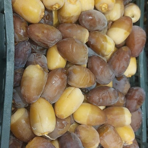 قیمت مناسب رطب صادراتی