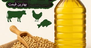 قیمت خرید روغن سویا خام + فله