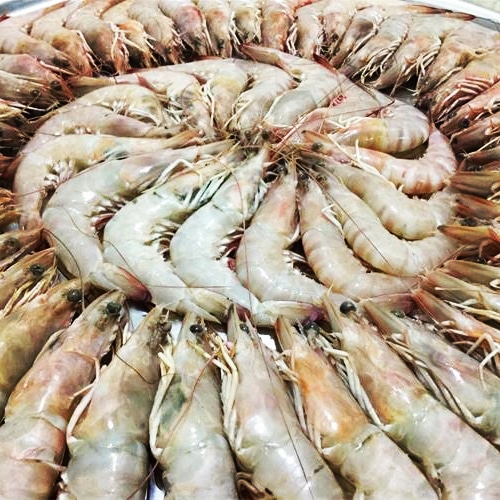 تصویر 1 از میگو ریز ترد و خوش‌ طعم