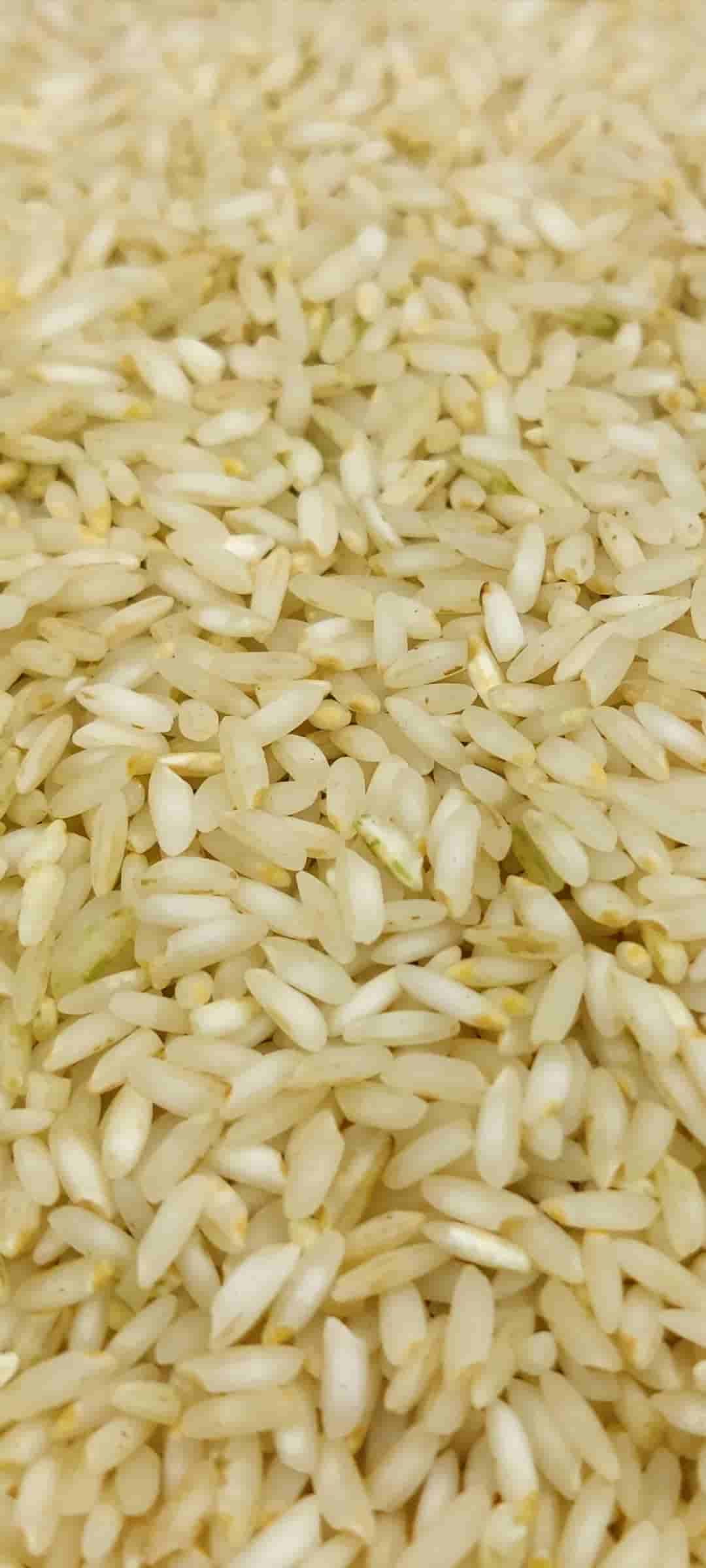 قیمت فروش برنج چمپا میداوود اصل درجه یک