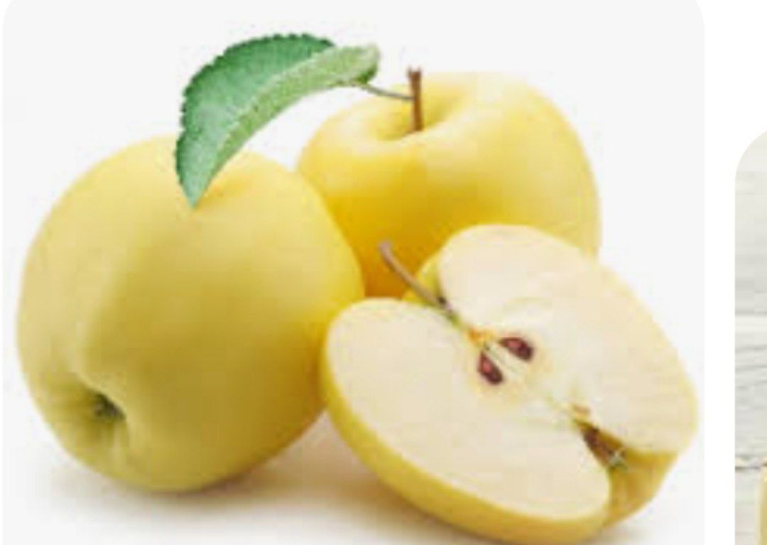 پیش فروش سیب صادراتی رو درخت