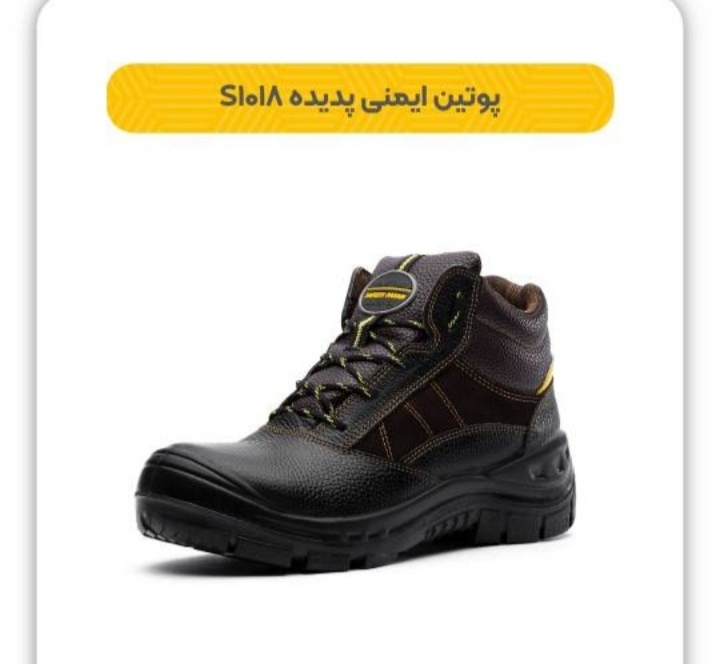 پوتین ایمنی پدیده