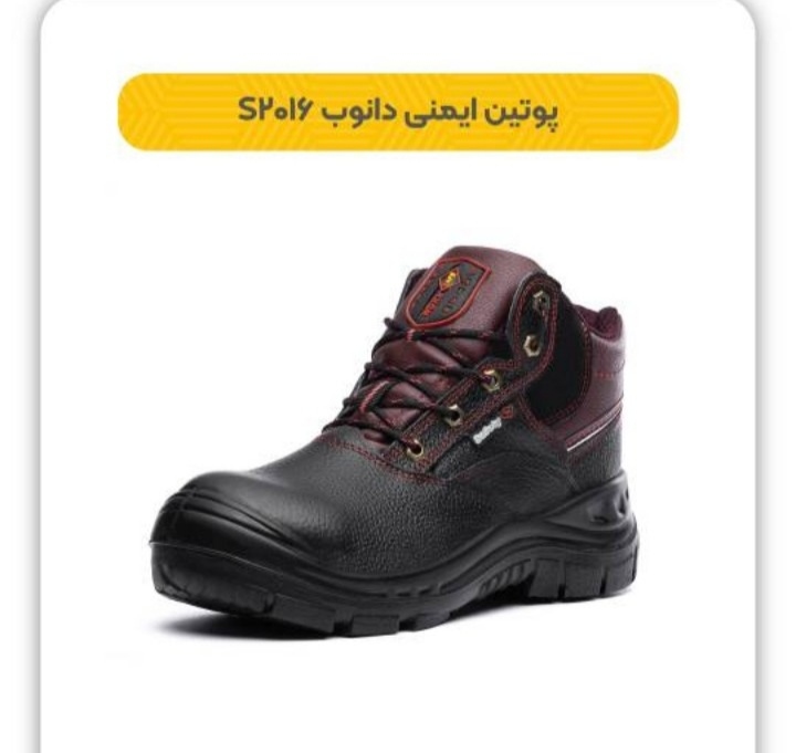 پوتین ایمنی دانوب