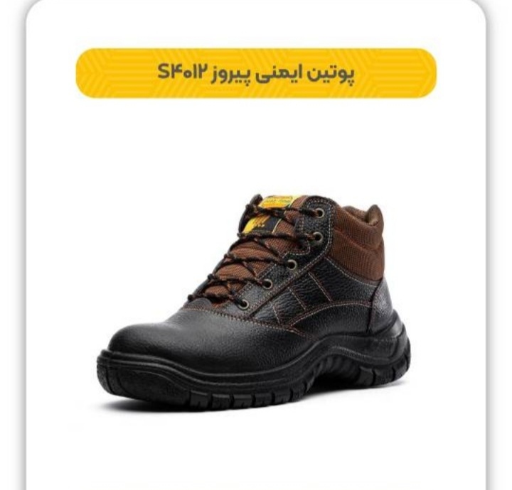 پوتین ایمنی پیروز