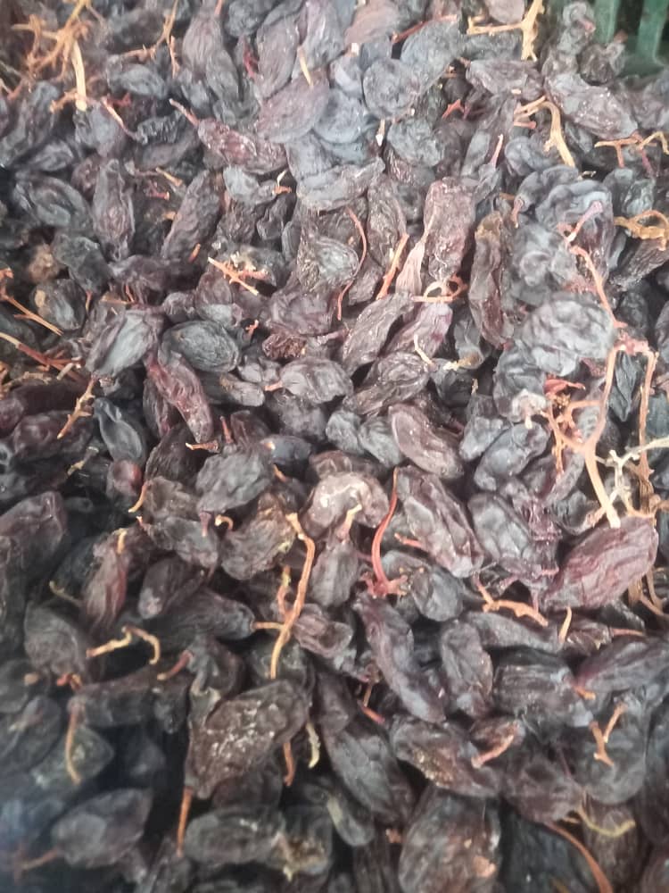 مویز با چوب هسته دار