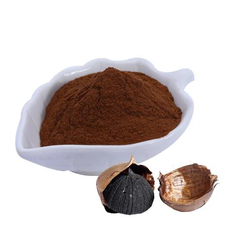 پودر سیر سیاه همدان