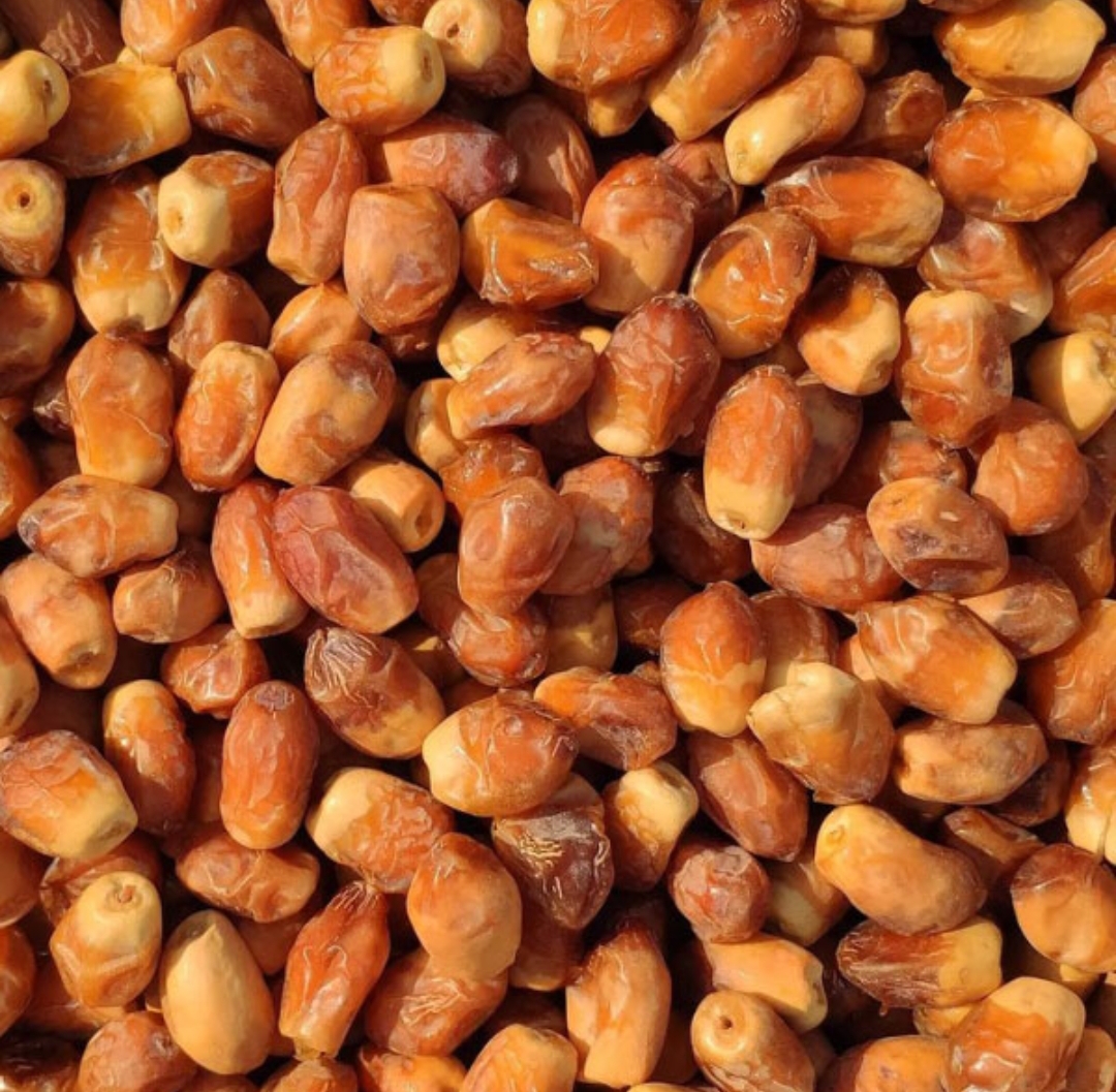خرما زاهدی عمده + قیمت فروش