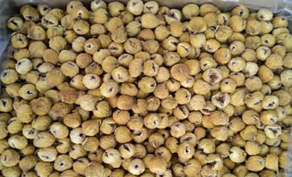 انجیر خشک 101 استهبان