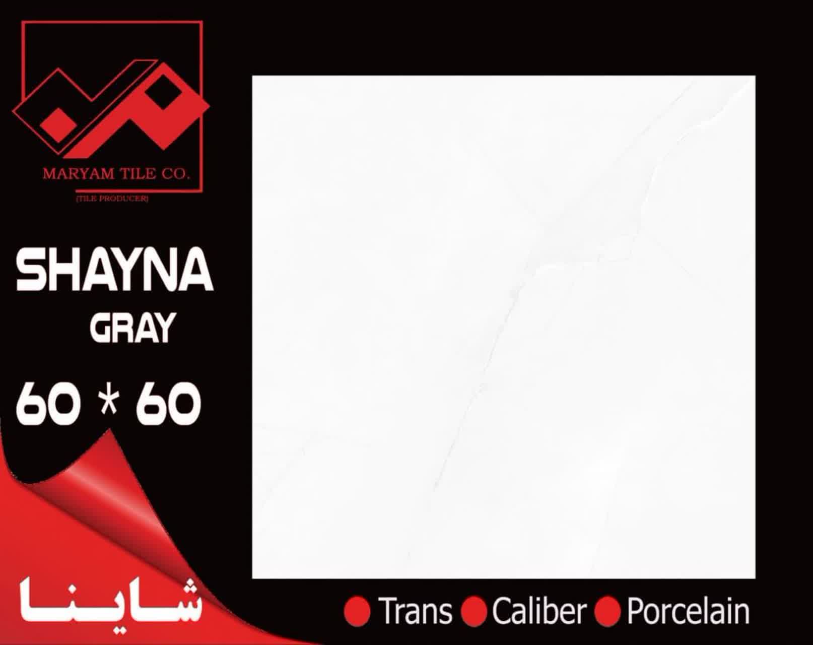 قیمت سرامیک 60 × 60 براق کف + عمده