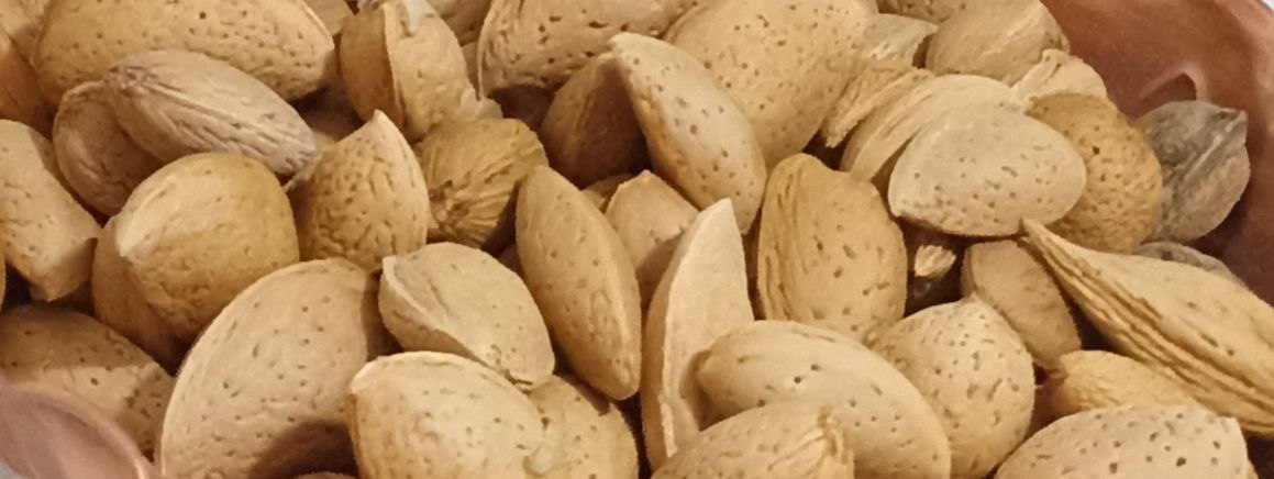فروش عمده بادام‌ چهارمحال و بختیاری