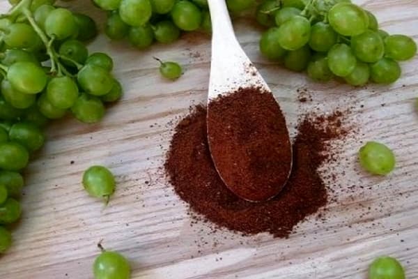 خرید غوره خشک بی هسته عالی