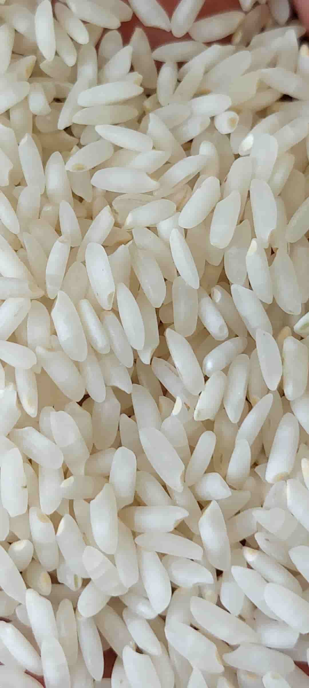 قیمت برنج چمپا باغملک درجه یک