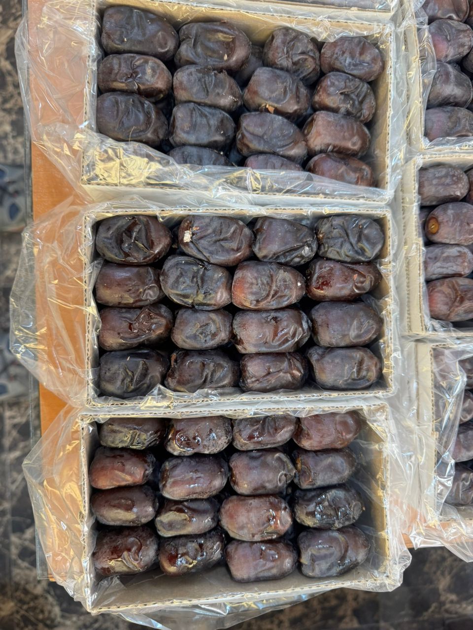 عرضه مستقیم خرما مضافتی بم فروش عمده ویژه صادرات