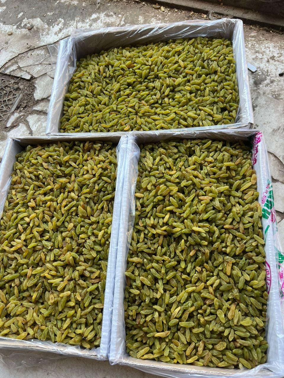 کشمش سبز صادراتی