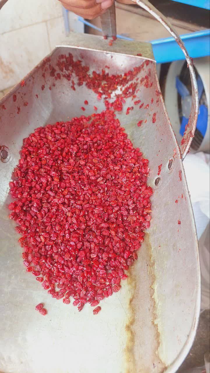 خرید زرشک ارگانیک خراسان