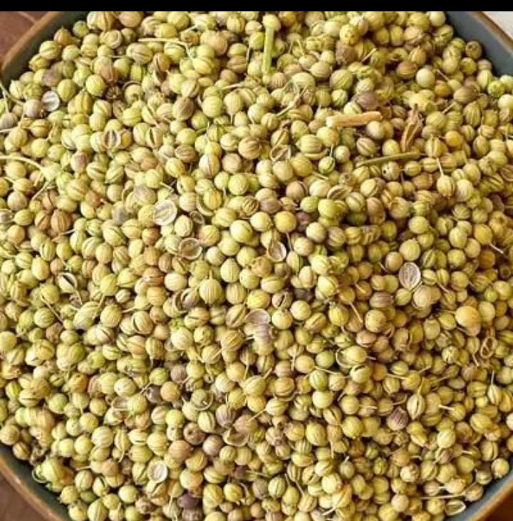 قیمت گشنیز توپی و لپه پاک و بوجار شده