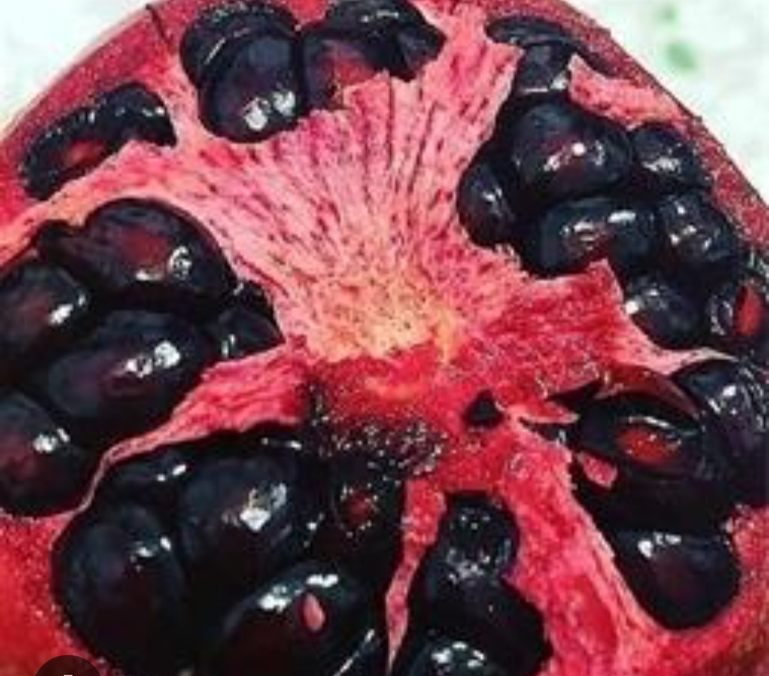قیمت خرید عمده انار دانه سیاه