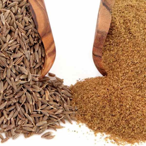 زیره پودری درجه یک؛ تخفیف عمده