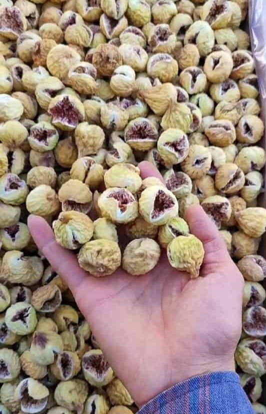 قیمت انجیر صدیک و غنچه استهبان