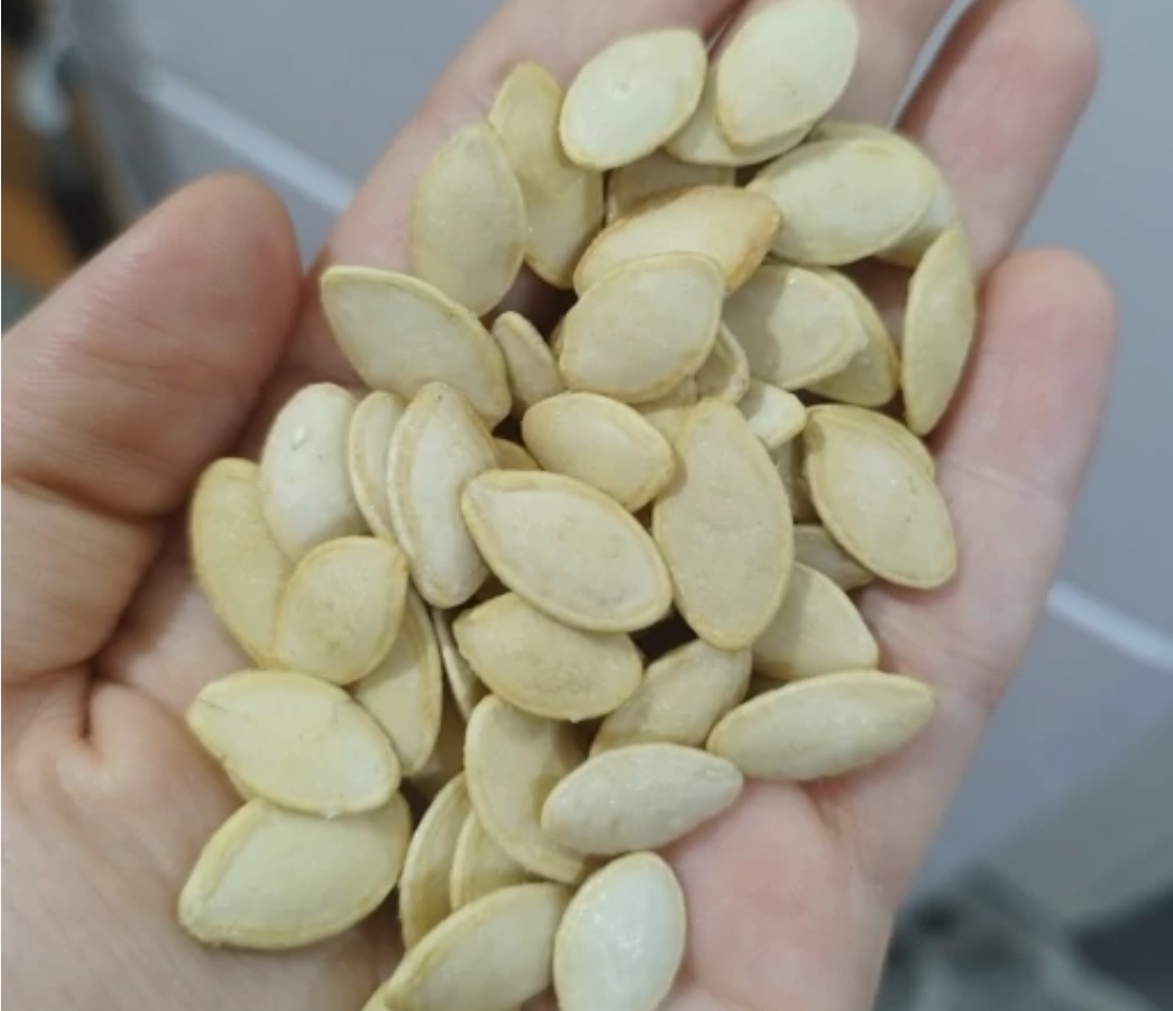 تخمه کدو گوشتی خارجی لوکس