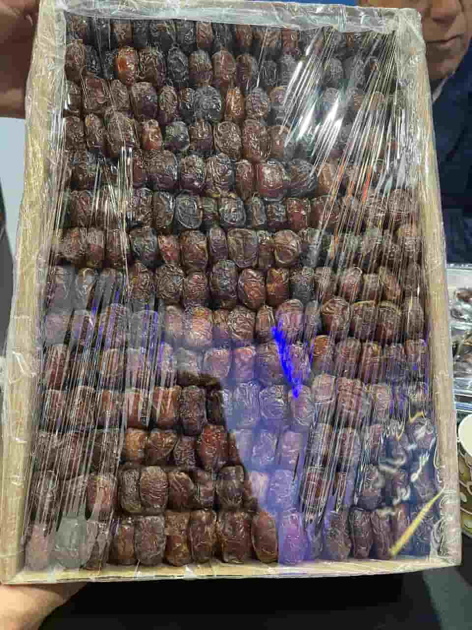 خرما کلوته + خرید عمده