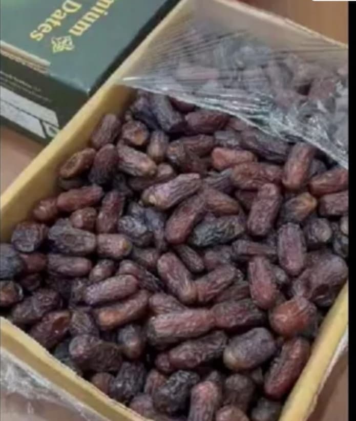خرما دمباز + خرید عمده