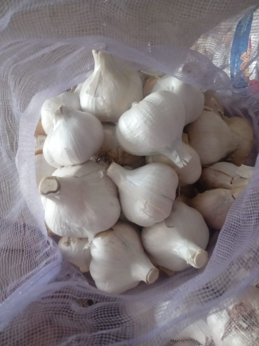 قیمت سیر پاکستان