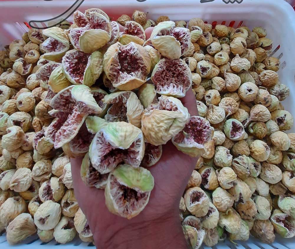 انجیر خشک درجه یک استهبان