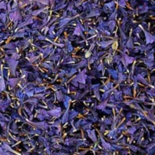 فروش گیاه دارویی  گل گاوزبان + عمده