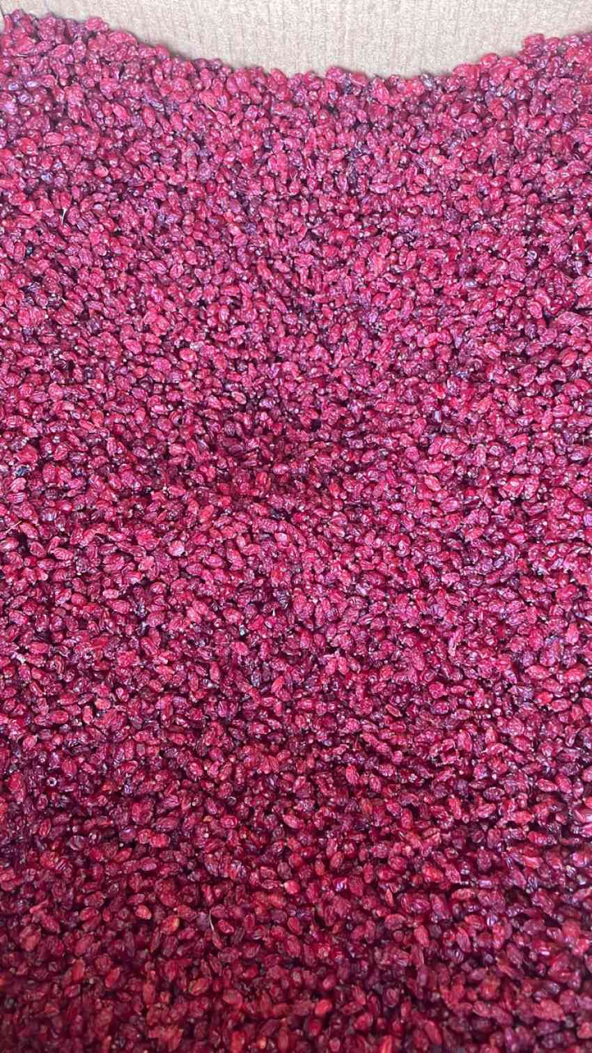 زرشک خوش طعم ایران + فروش عمده