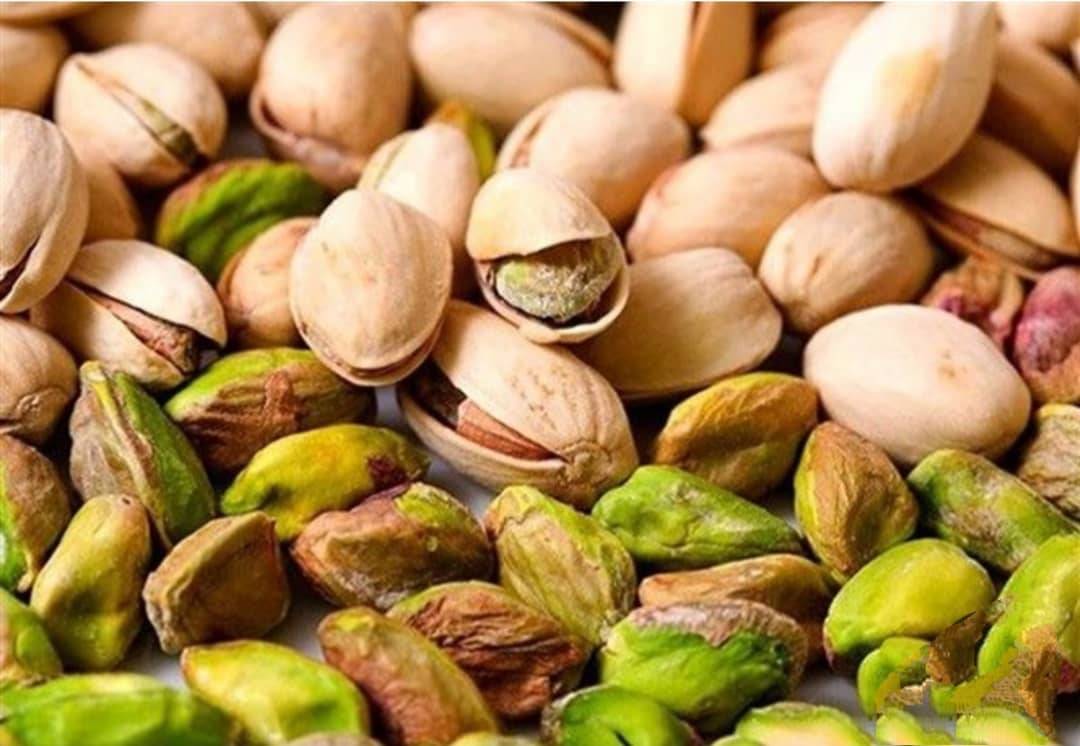 خرید پسته کله قوچی تازه + قیمت روز