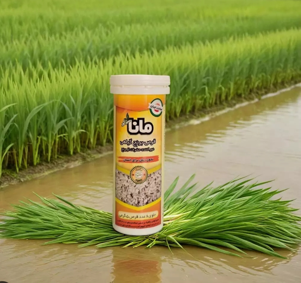 بهترین جایگزین برای قرص برنج های صنعتی قرص برنج کاملا گیاهی است
