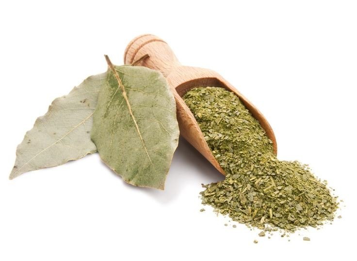 آویشن کوهی برای صادرات