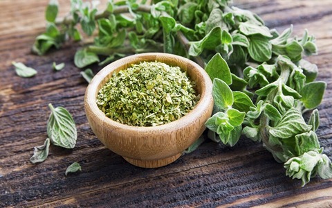خرید گیاه دارویی پونه + قیمت باور نکردنی