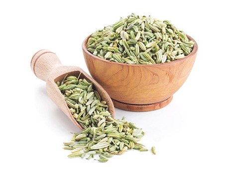 خرید گیاه دارویی رازیانه + قیمت ارزان