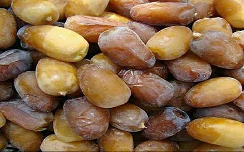 خرید اقتصادی و به‌صرفه رطب کبکاب اصل بوشهر
