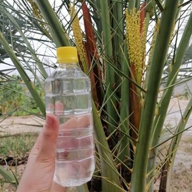 عرق طارونه اصل آرامش اعصاب با قیمتی شگفت‌ انگیز